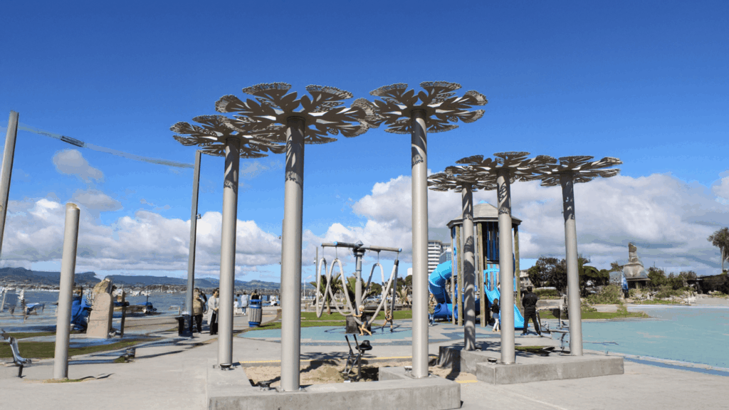 Tauranga installation palm trees at playground