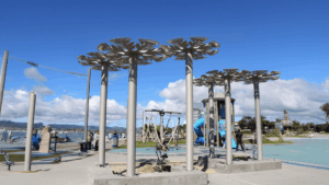 Tauranga installation palm trees at playground