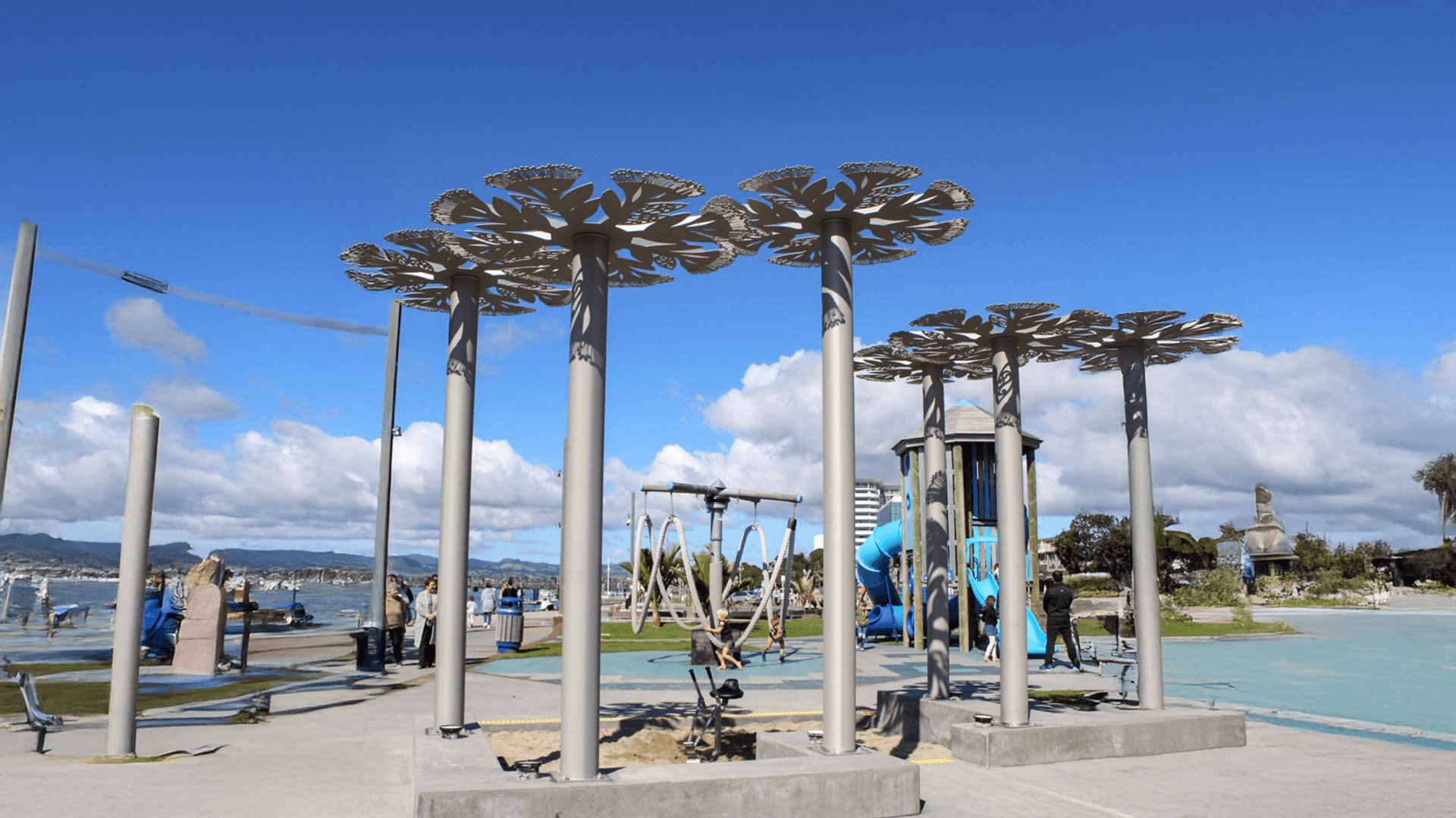 Tauranga installation palm trees at playground