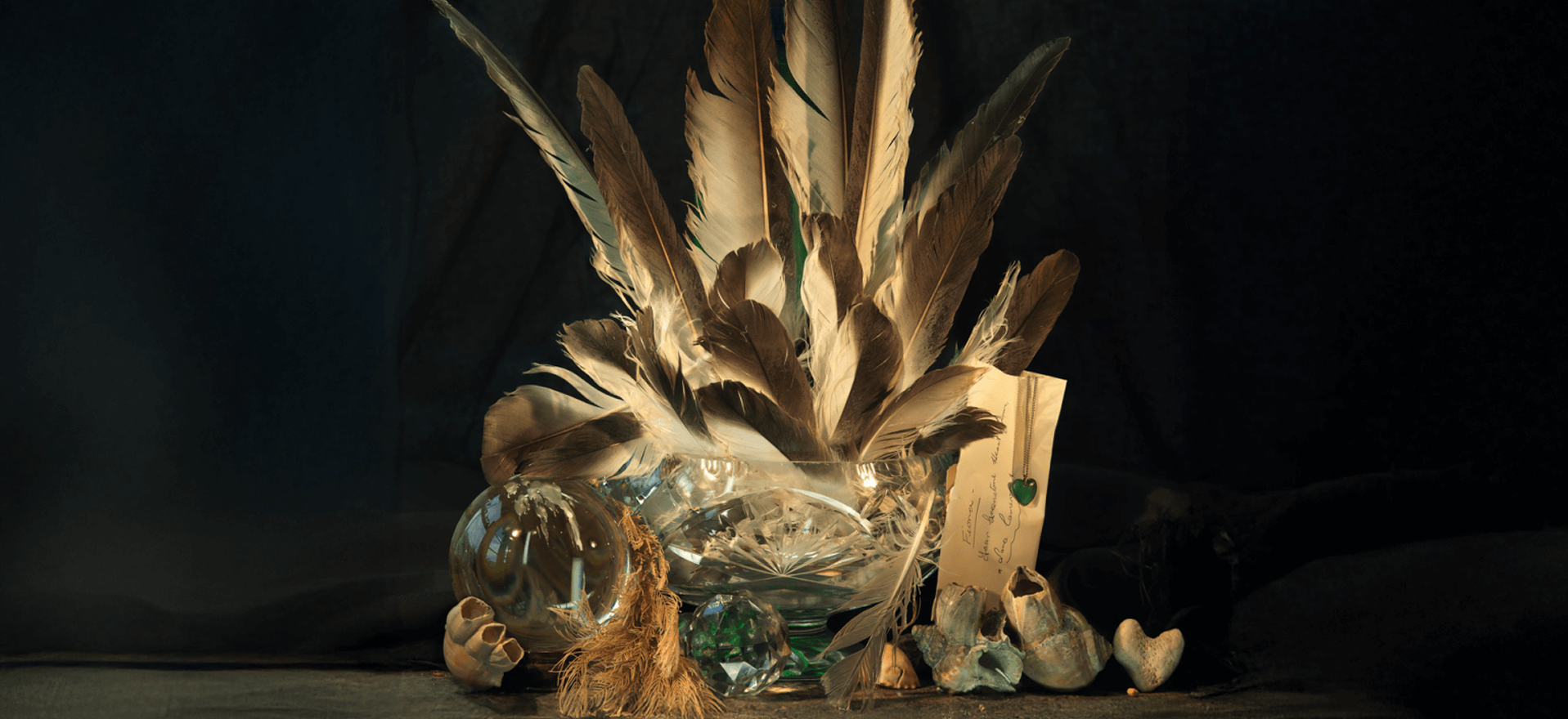 Dr Fiona Pardington large format photographic work